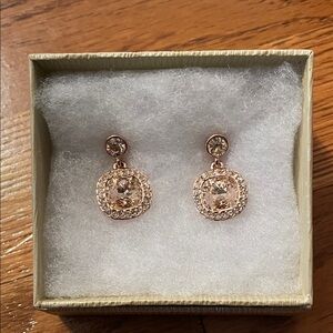 Elegant Rose Gold Drop Earrings